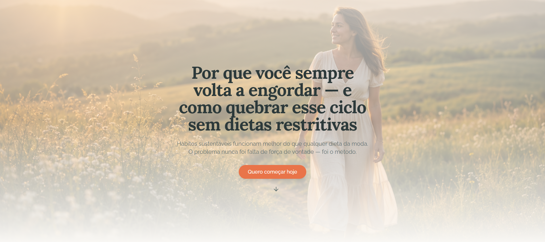 Página inicial do site Reinicio Leve